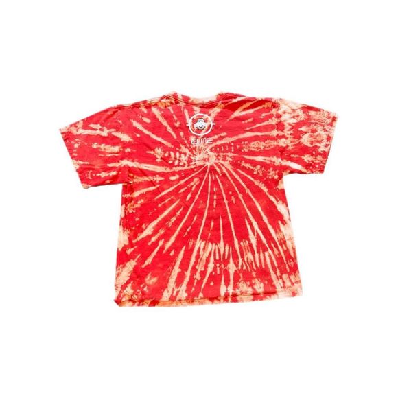 Vintage Nike Elite Lebron James Ohio State Buckeyes Basketball Bleached Tee - Picture 2 of 6